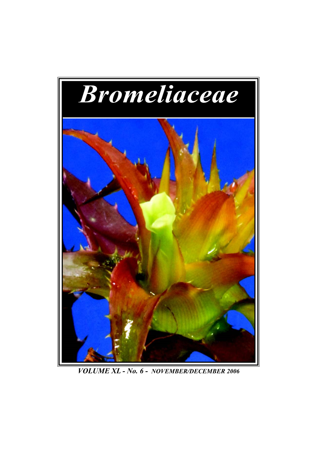 Bromeliaceae