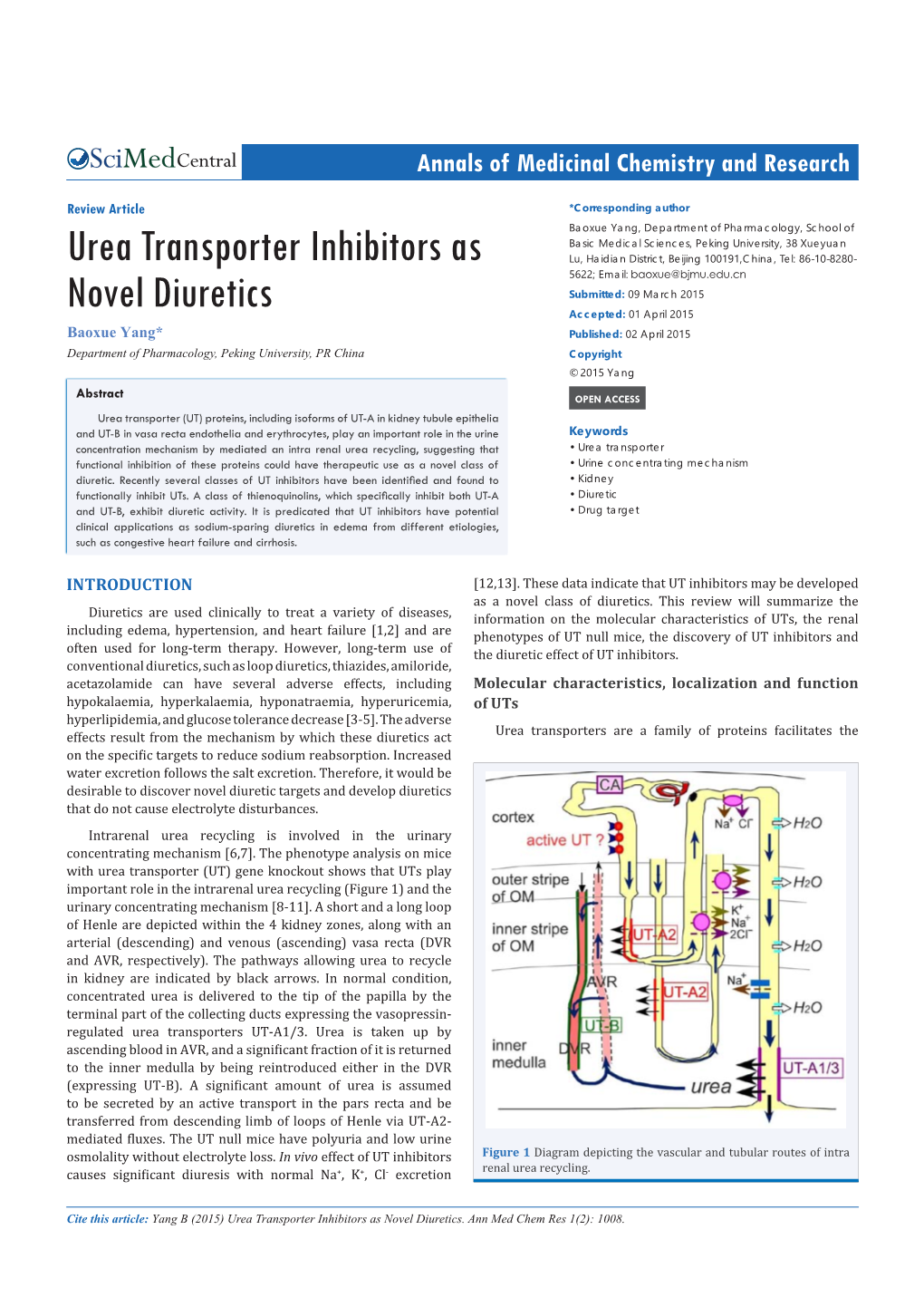 Urea Transporter Inhibitors As Novel Diuretics