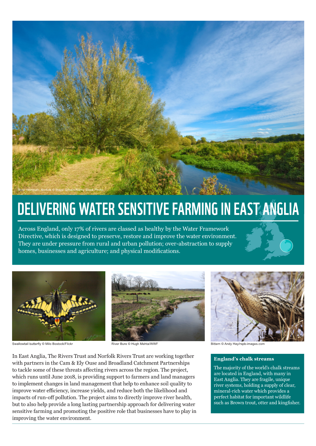 Delivering Water Sensitive Farming in East Anglia