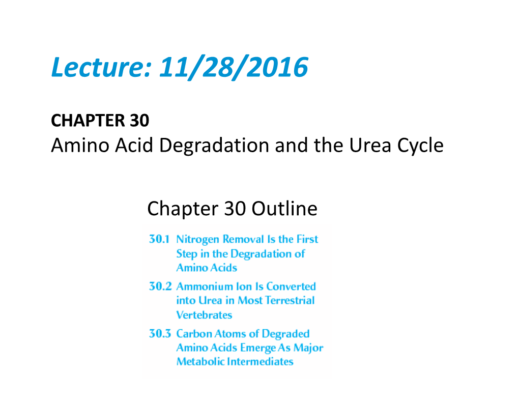 Amino Acid Degradation and the Urea Cycle Chapter 30 Outline