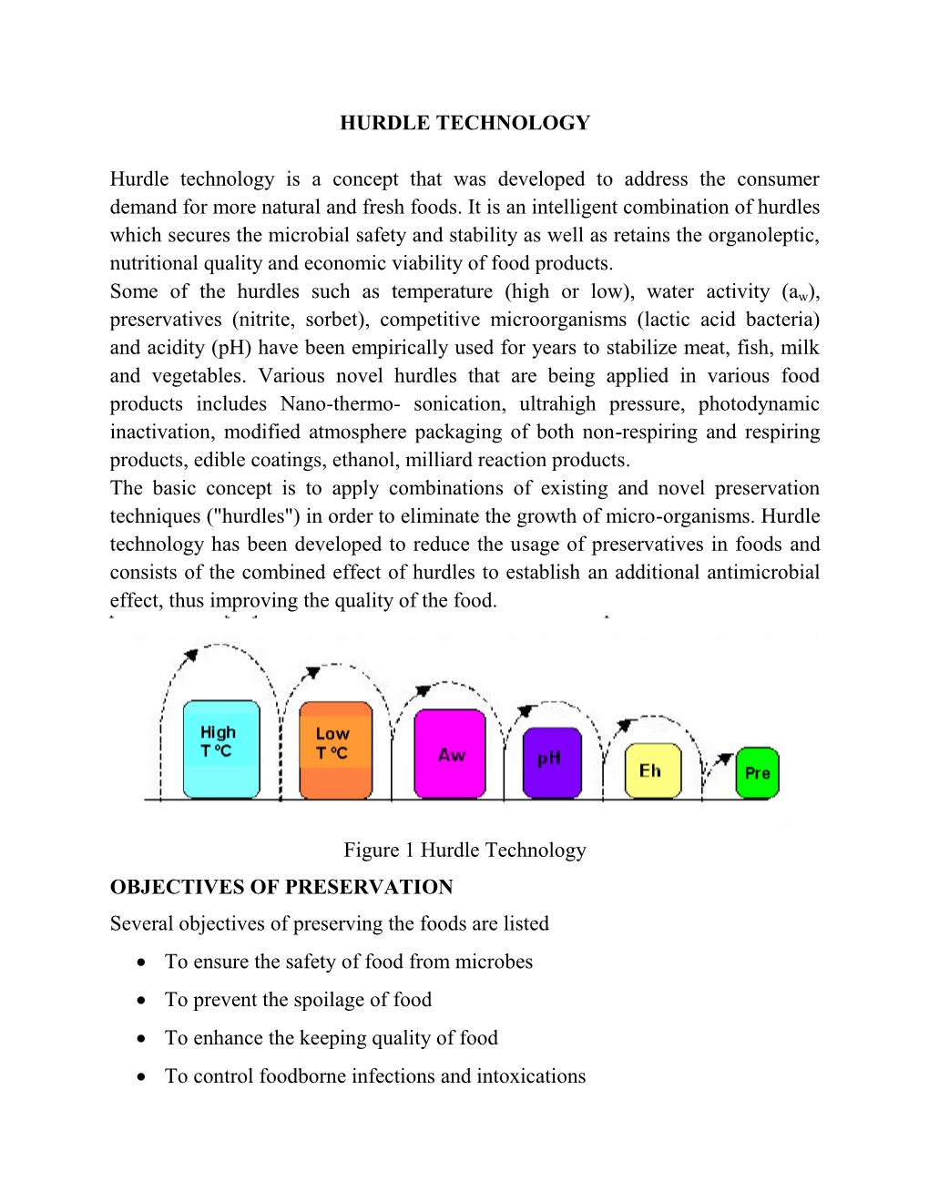 HURDLE TECHNOLOGY Hurdle Technology Is a Concept That Was