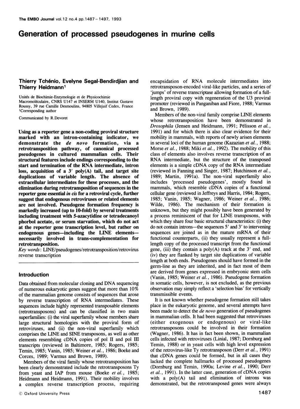 Generation of Processedpseudogenes in Murine Cells