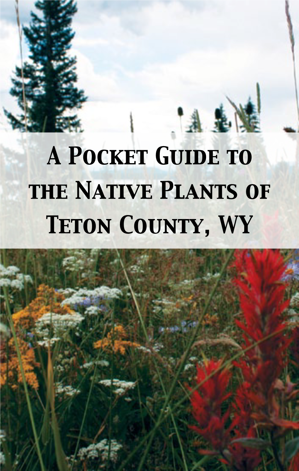 A Pocket Guide to the Native Plants of Teton County, WY