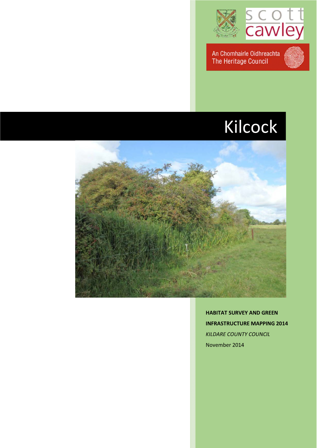 Kilcock Habitat Mapping Green Infrastructure Report