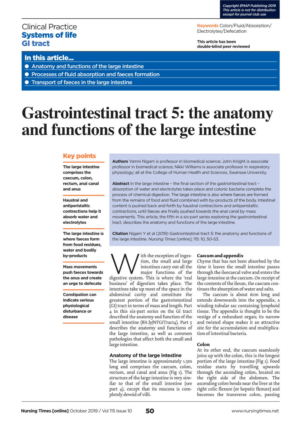Gastrointestinal Tract 5: the Anatomy and Functions of the Large Intestine