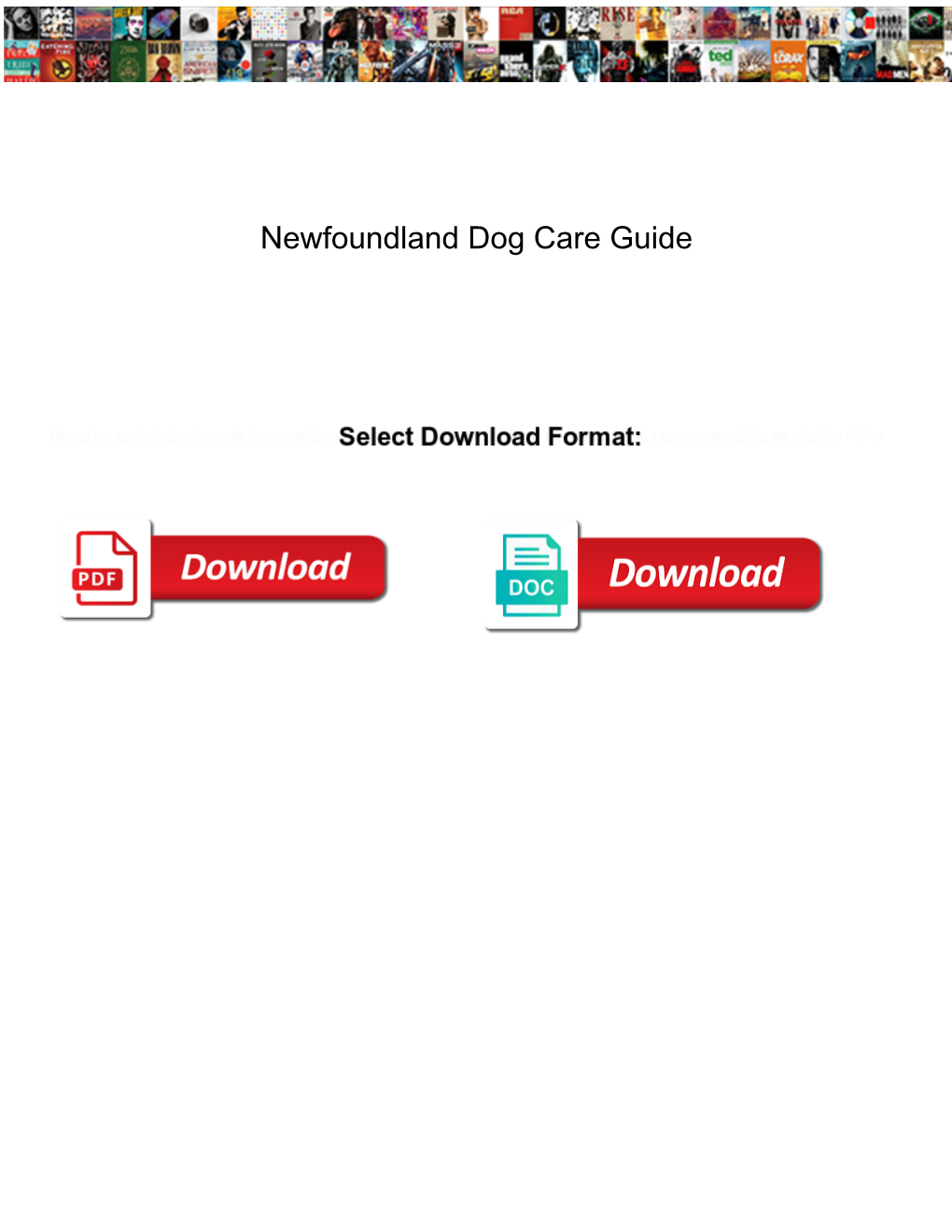Newfoundland Dog Care Guide