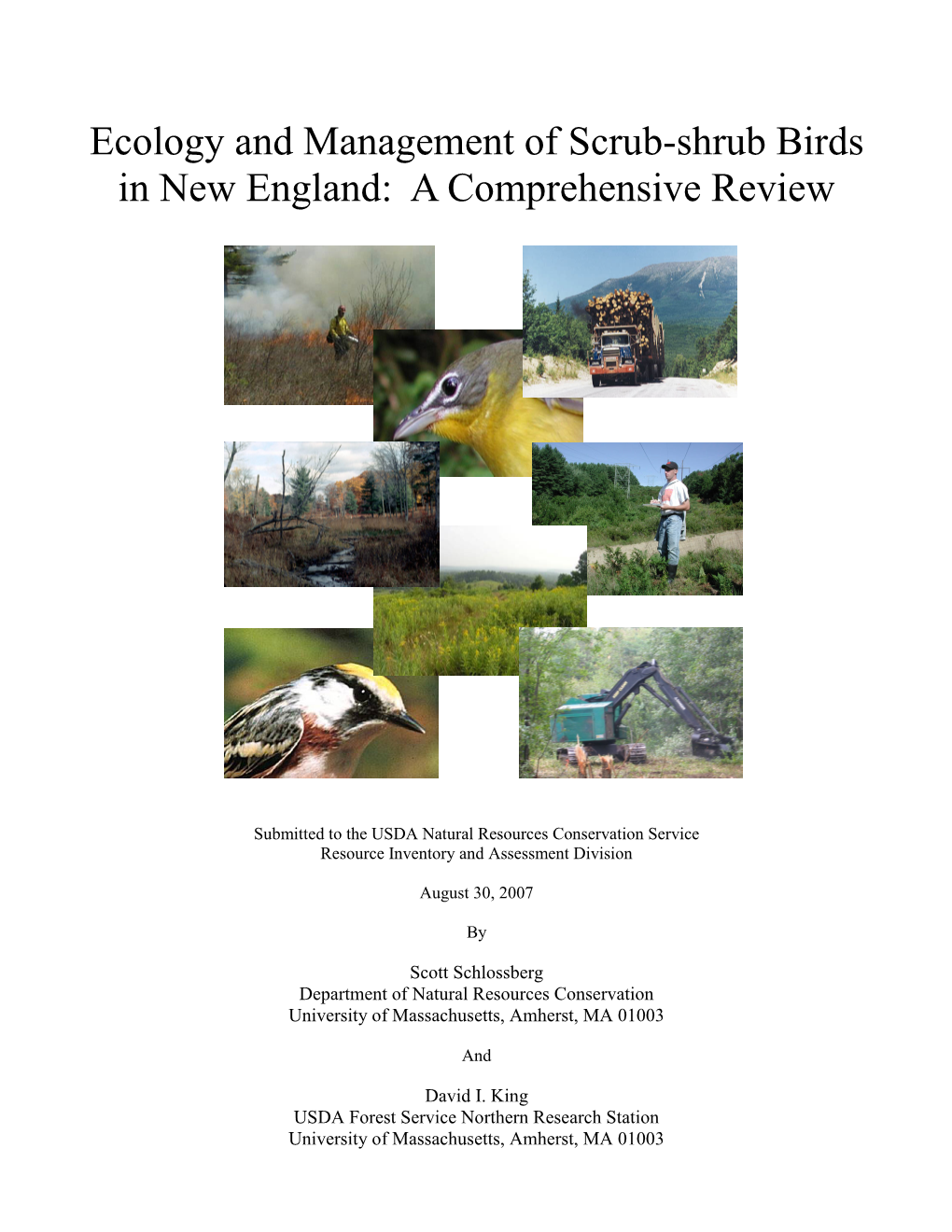 Ecology and Management of Scrub-Shrub Birds in New England: a Comprehensive Review