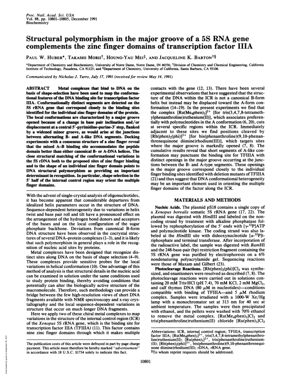 Structural Polymorphism in the Major Groove of a 5S RNA Gene Complements the Zinc Finger Domains of Transcription Factor IIIA PAUL W