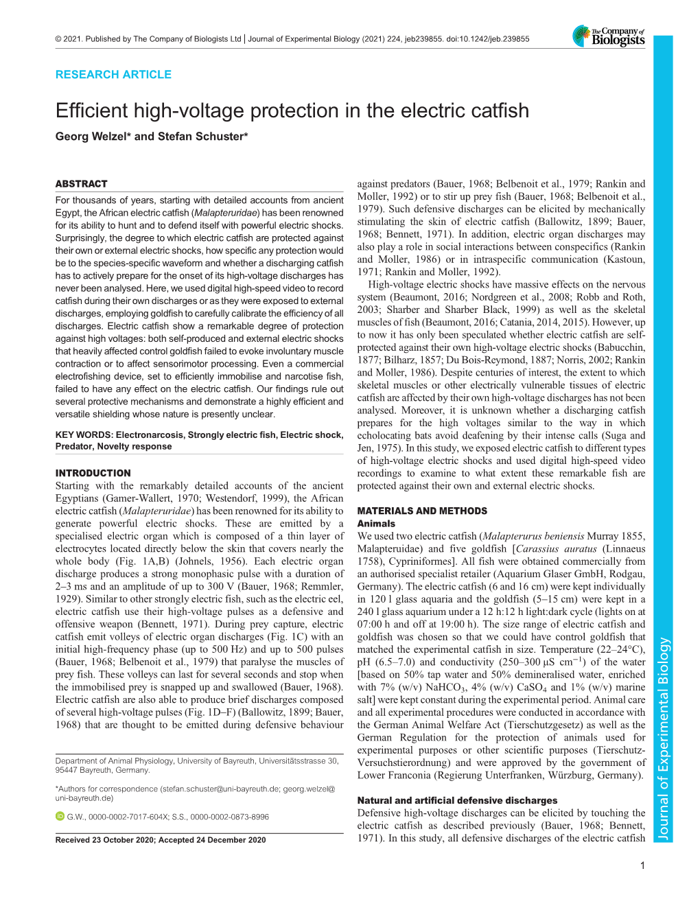 Efficient High-Voltage Protection in the Electric Catfish Georg Welzel* and Stefan Schuster*