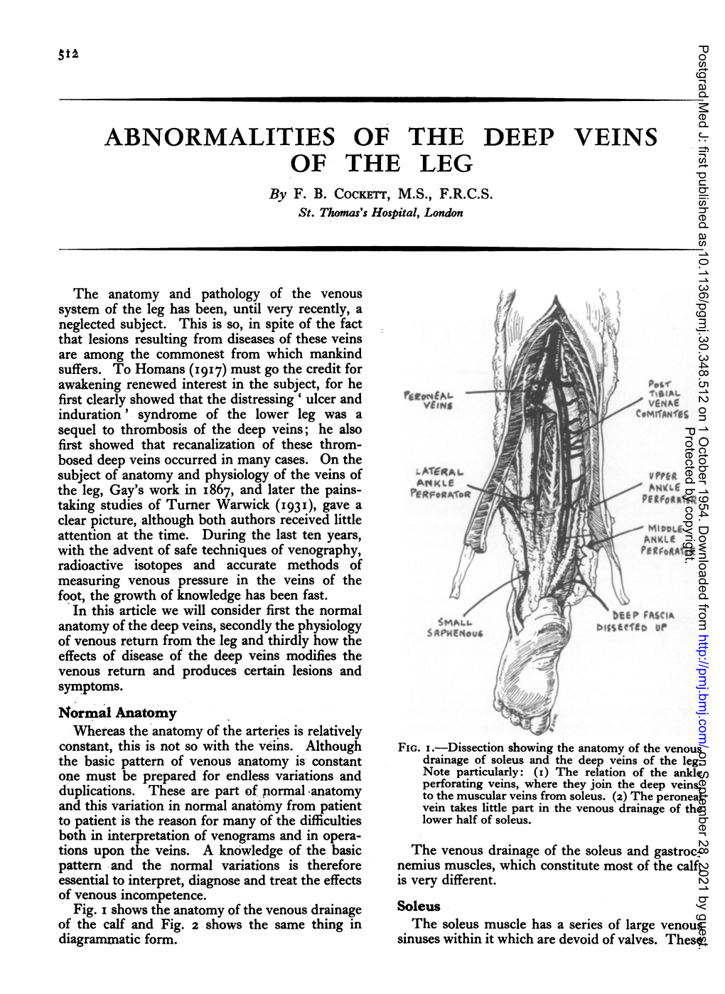 ABNORMALITIES of the DEEP VEINS of the LEG by F