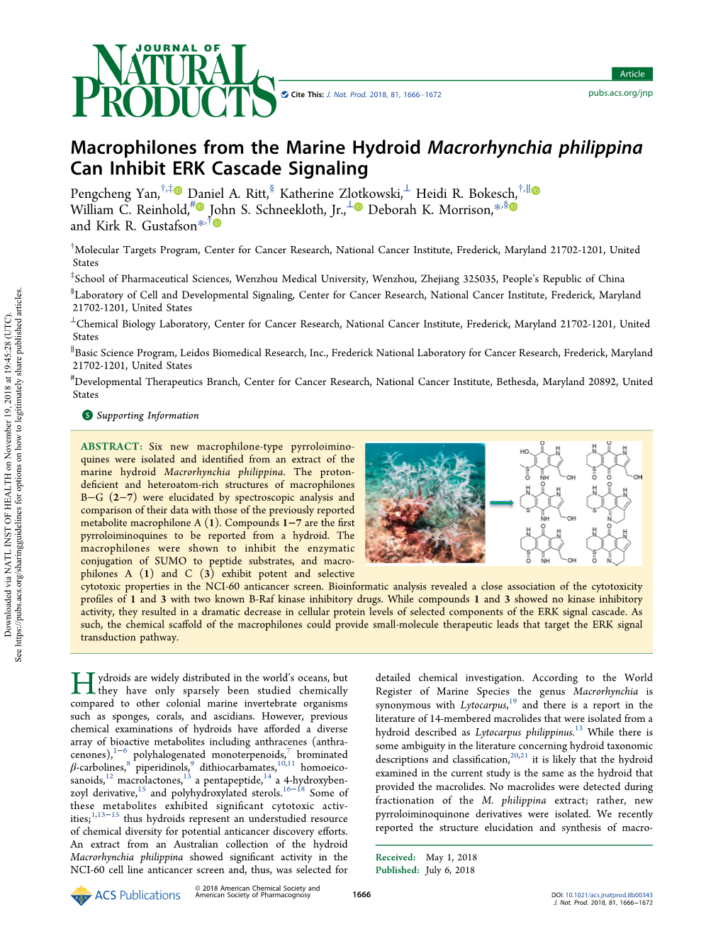 Macrophilones from the Marine Hydroid Macrorhynchia Philippina Can Inhibit ERK Cascade Signaling † ‡ § ⊥ † ∥ Pengcheng Yan, , Daniel A