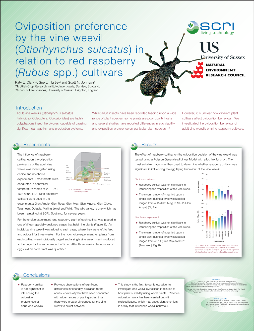 Oviposition Preference by the Vine Weevil (Otiorhynchus Sulcatus) in Relation to Red Raspberry (Rubus Spp.) Cultivars Katy E