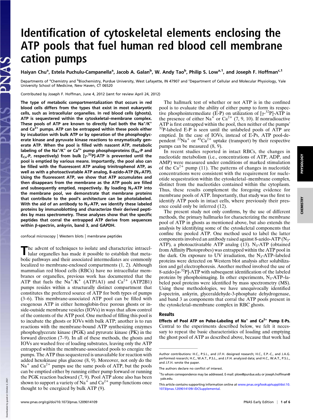 Identification of Cytoskeletal Elements Enclosing the ATP Pools That Fuel