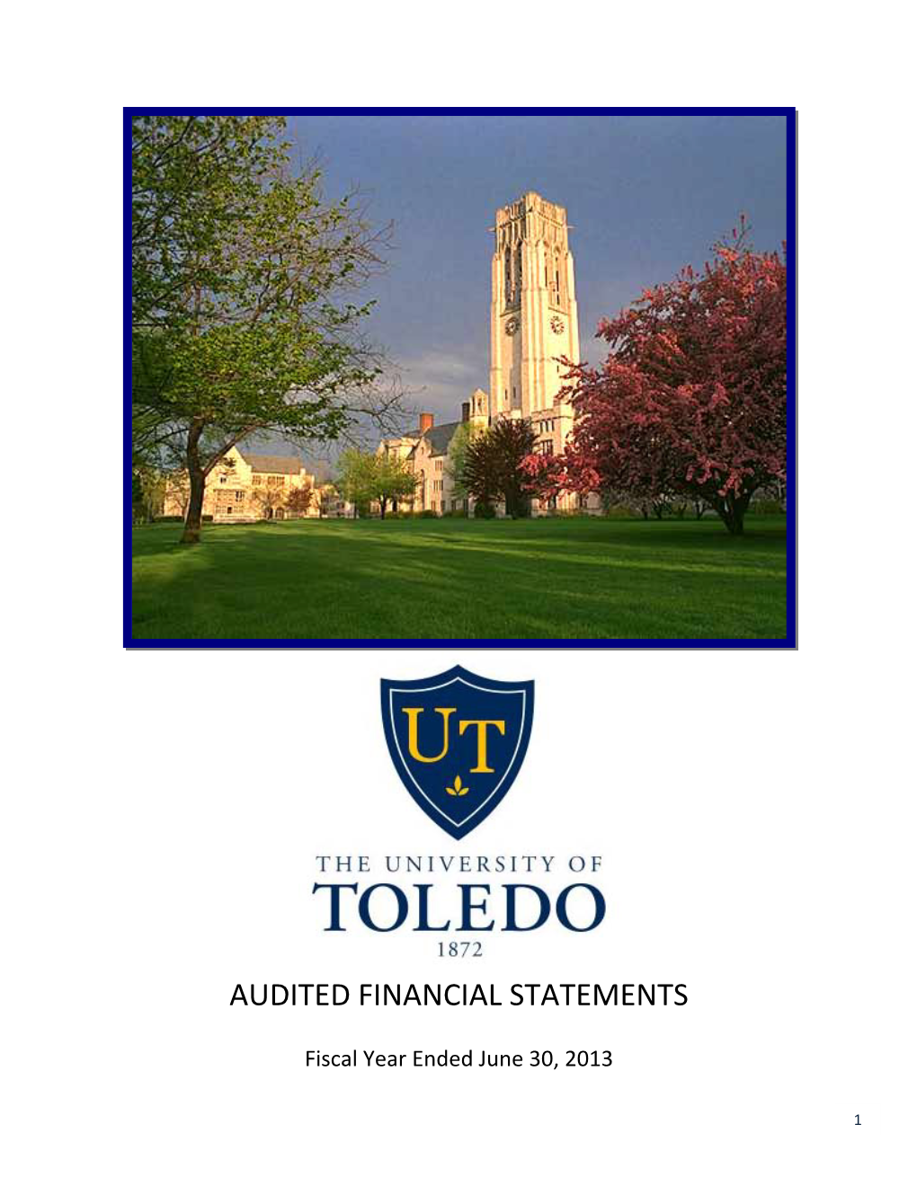 FY2013 Annual Financial Report