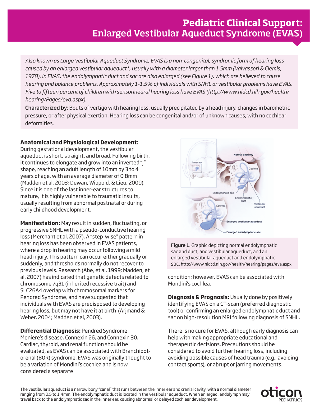 Pediatric Clinical Support: Enlarged Vestibular Aqueduct Syndrome (EVAS)