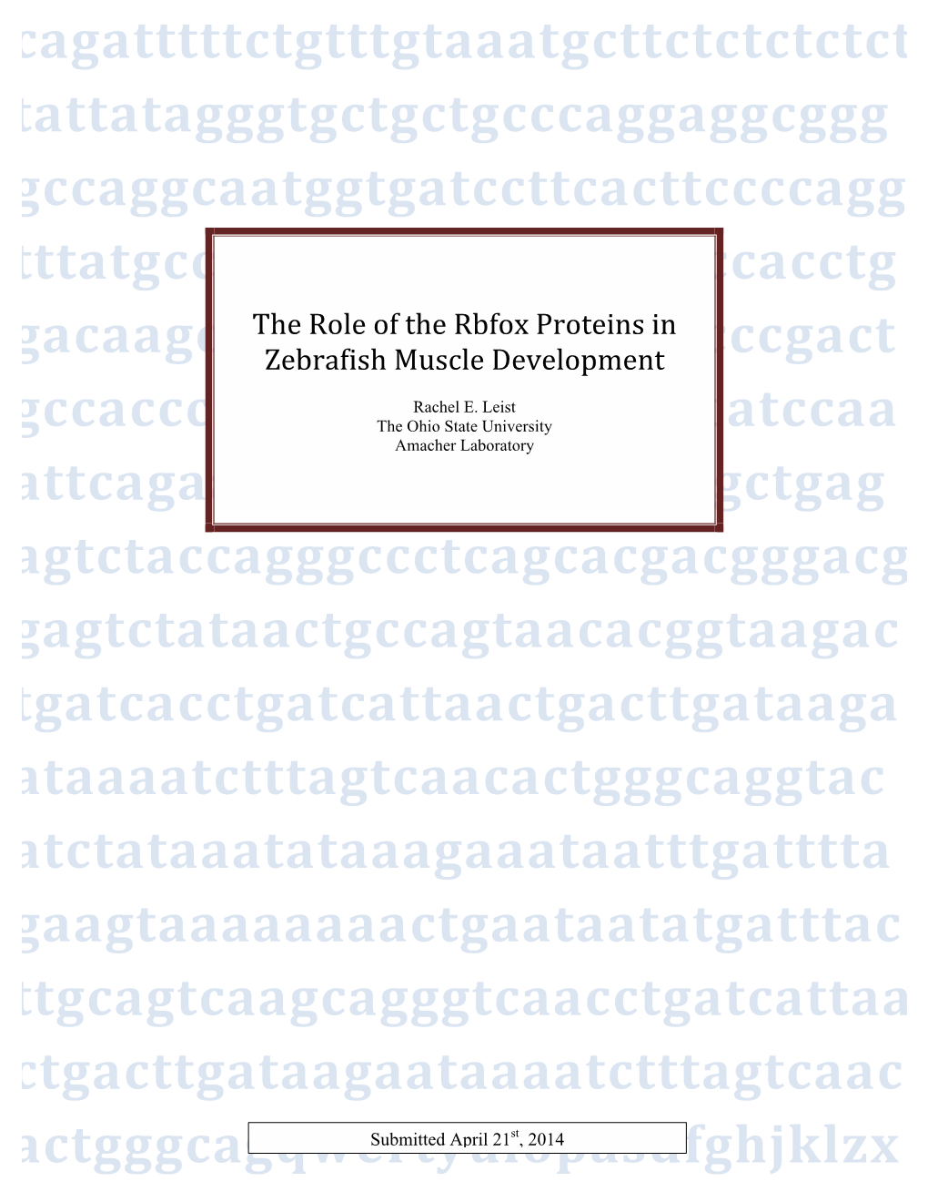 The Role of the Rbfox Proteins in Zebrafish Muscle Development-4