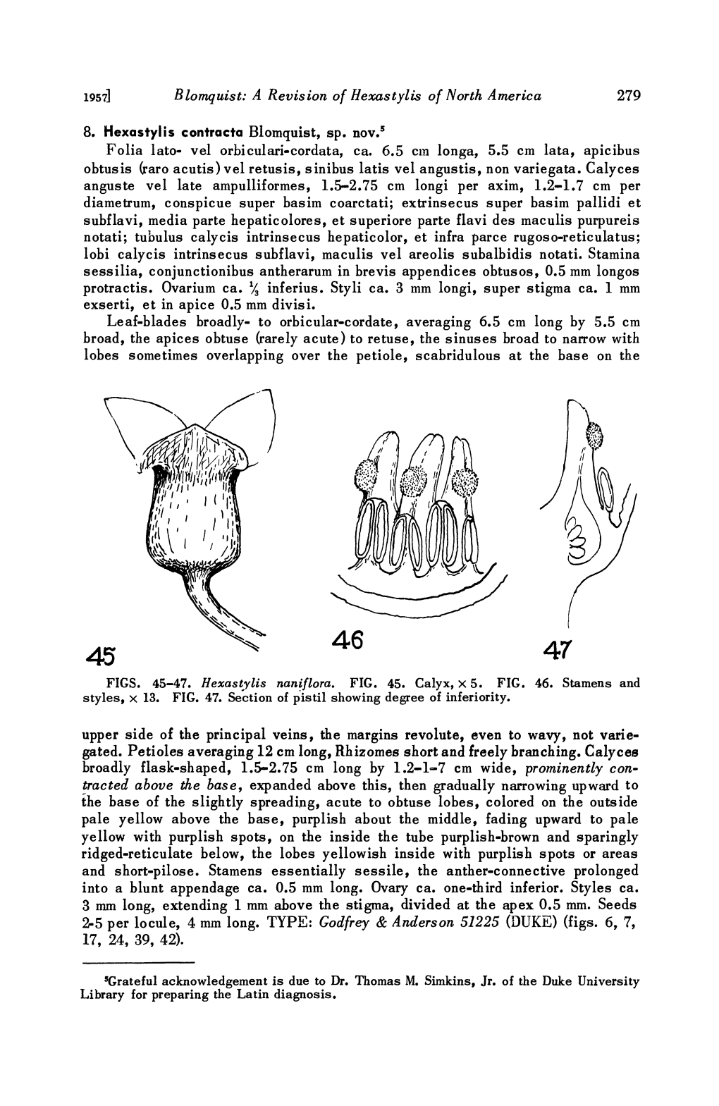 A Revision of Hexastylis of North America