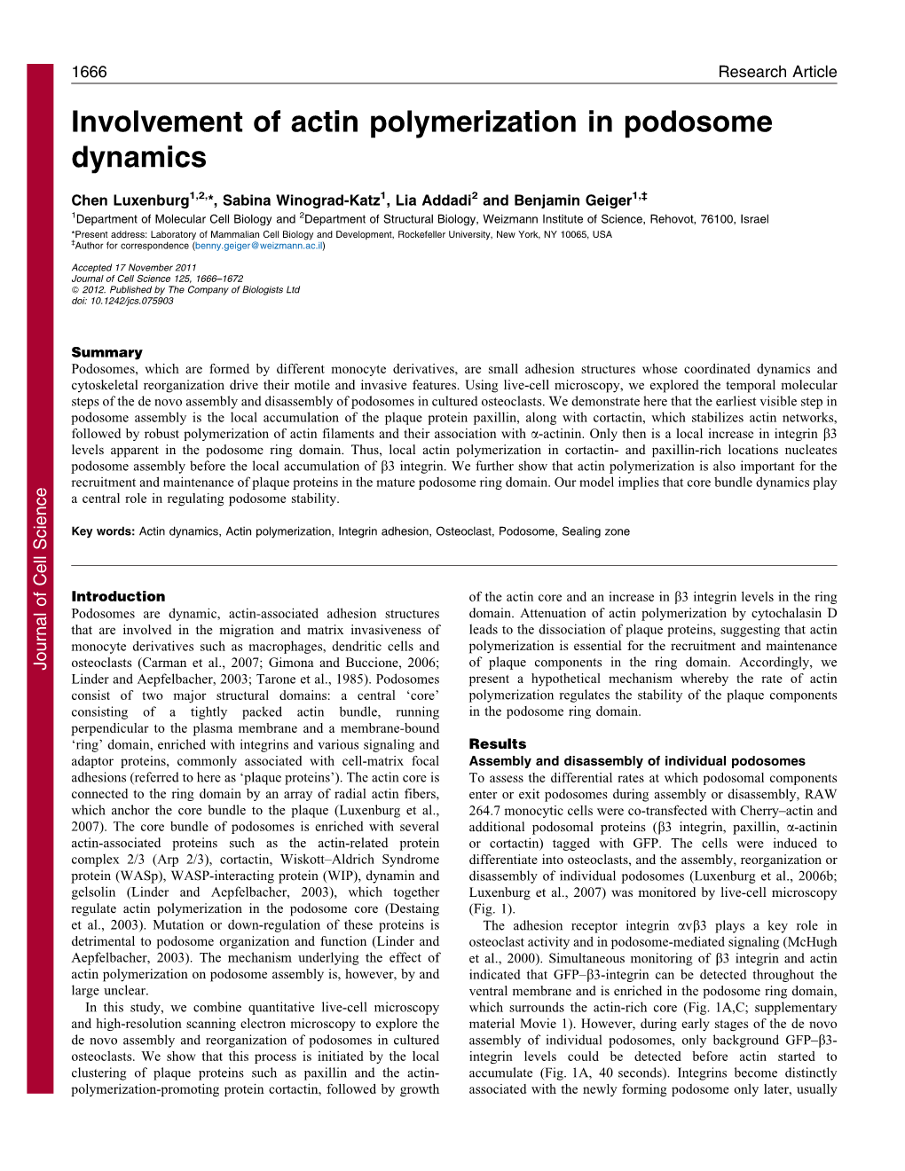 Involvement of Actin Polymerization in Podosome Dynamics