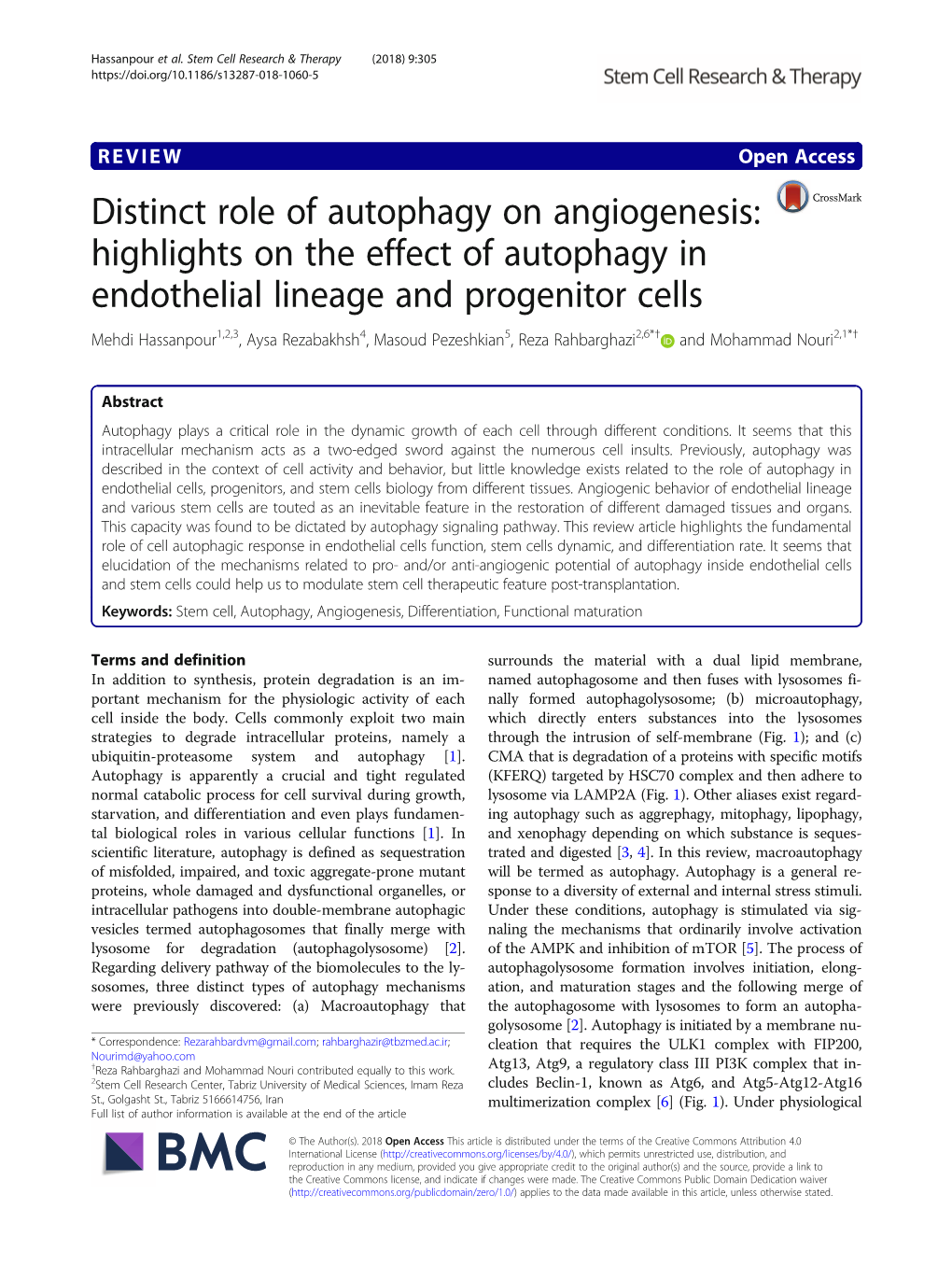 Distinct Role of Autophagy on Angiogenesis