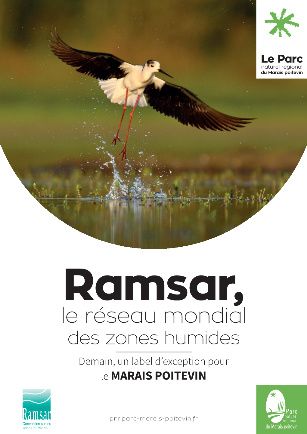 Ramsar, Demain Un Label D'exception Pour Le Marais Poitevin