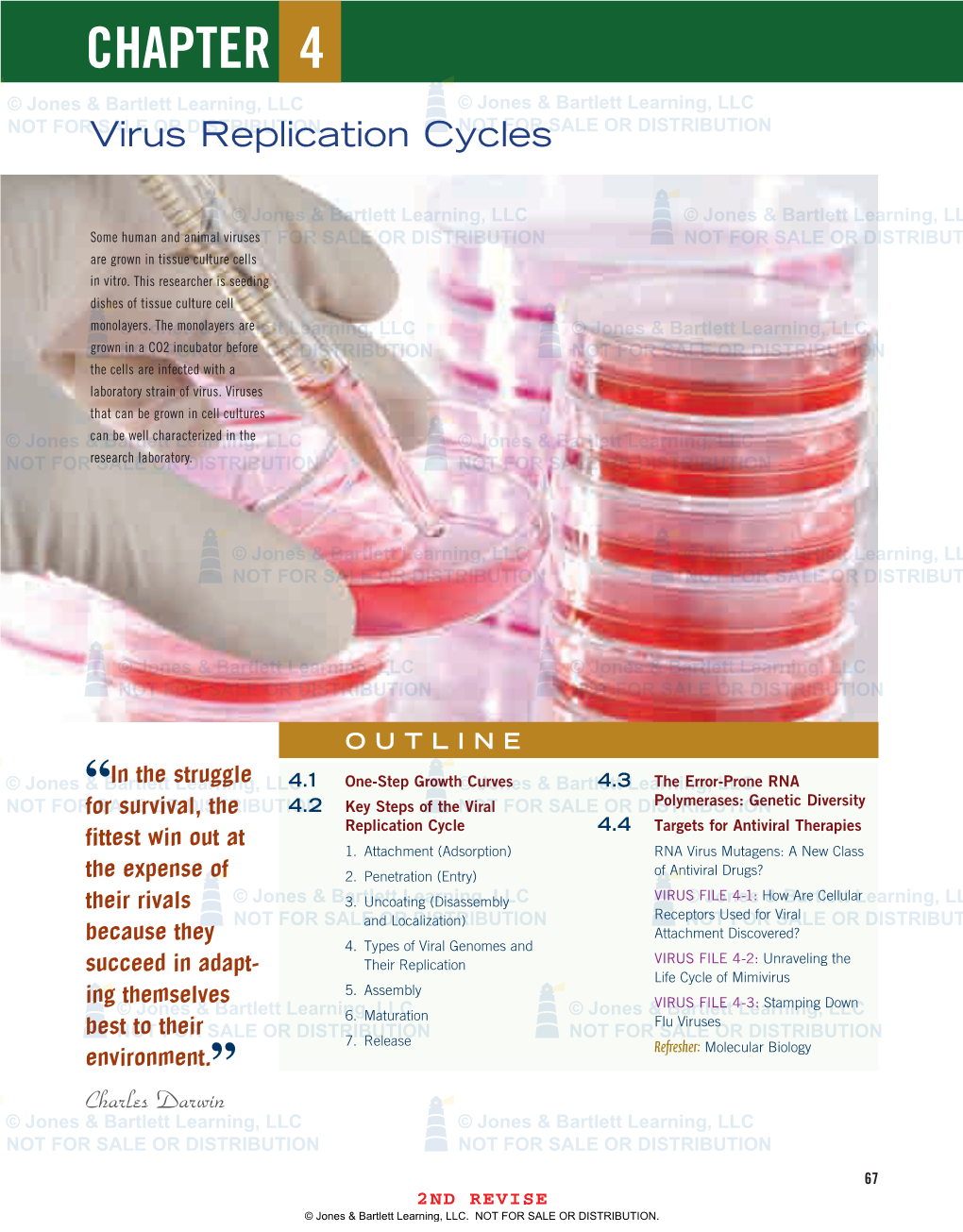 CHAPTER0 4 © Jones & Bartlett Learning, LLC © Jones & Bartlett Learning, LLC NOT Forvirus SALE OR Distributionreplication Cyclesnot for SALE OR DISTRIBUTION