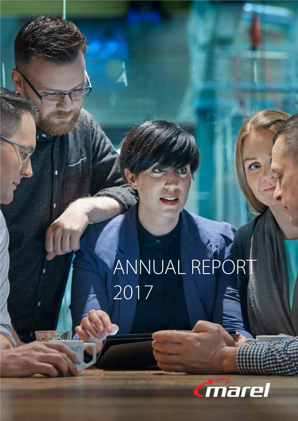 Annual Report 2017