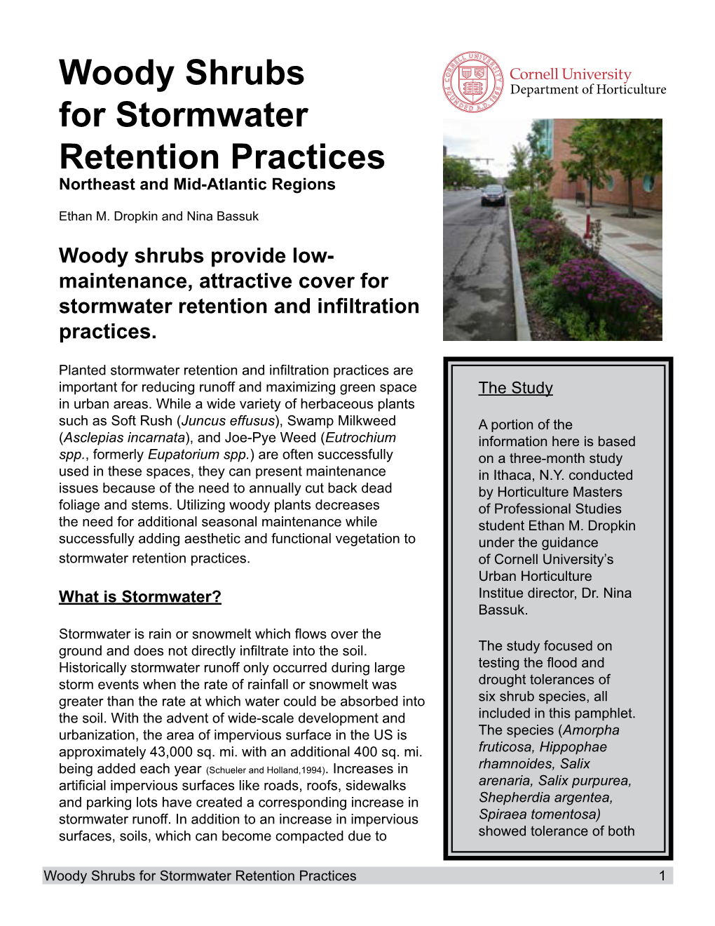 Woody Shrubs for Stormwater Retention Practices