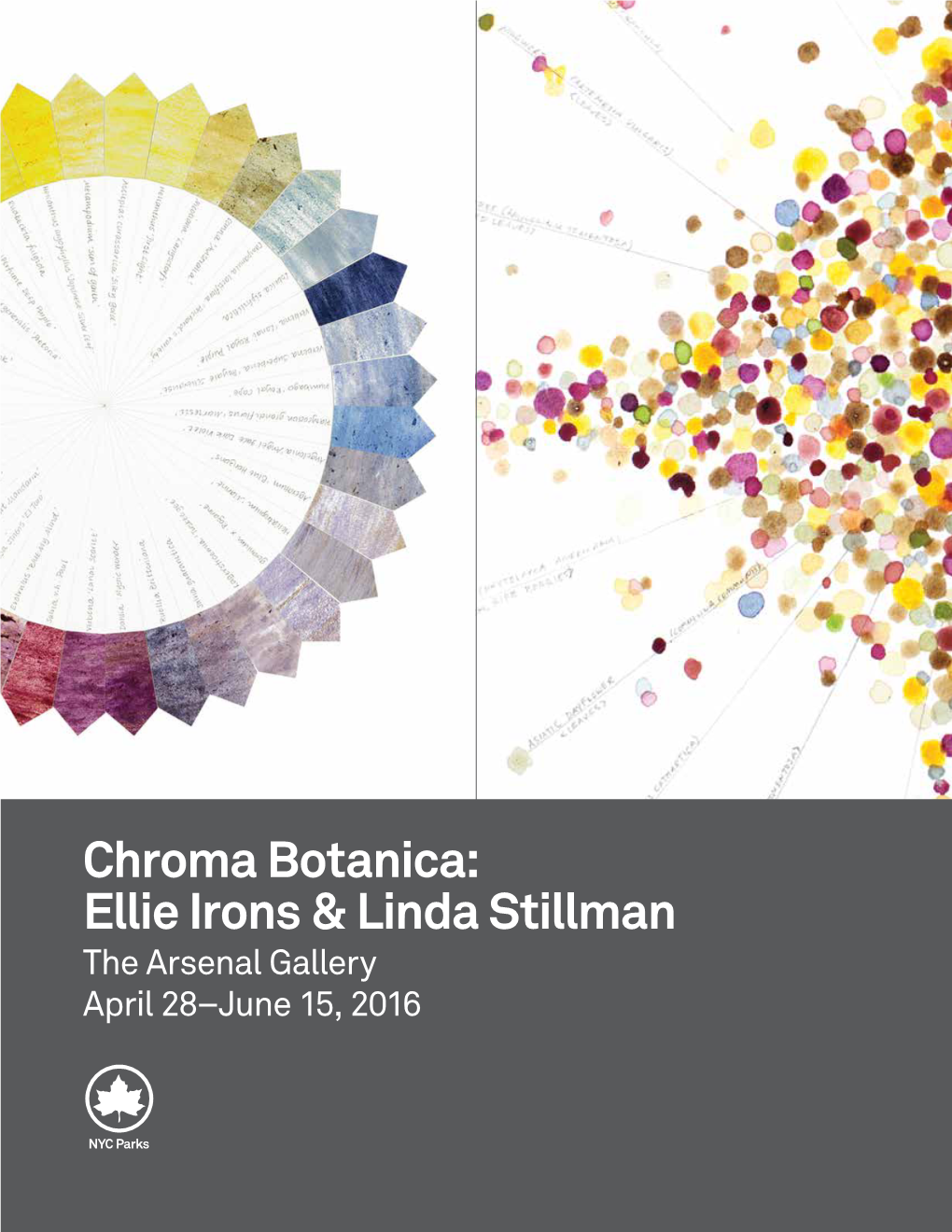 Chroma Botanica: Ellie Irons & Linda Stillman