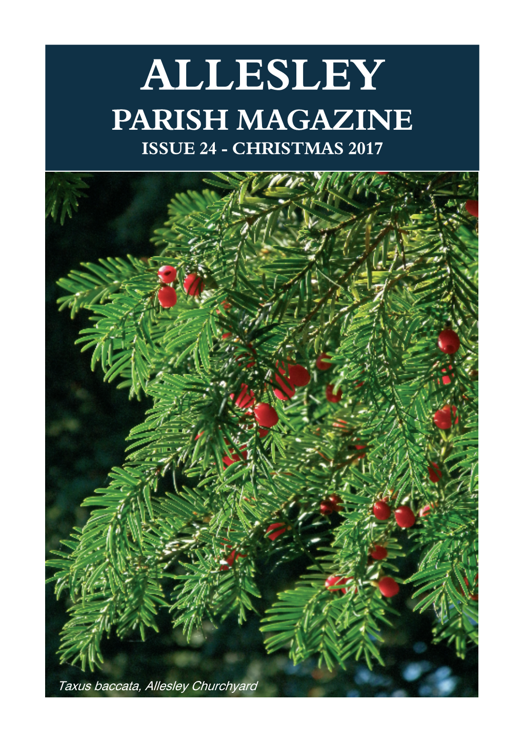 Issue 24 Allesley Mag Christmast 2017 Website Version