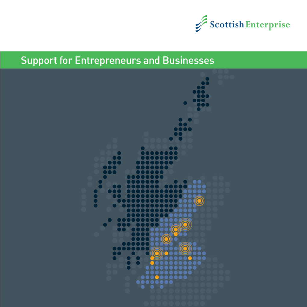 Support for Entrepreneurs and Businesses We Are Scottish Enterprise
