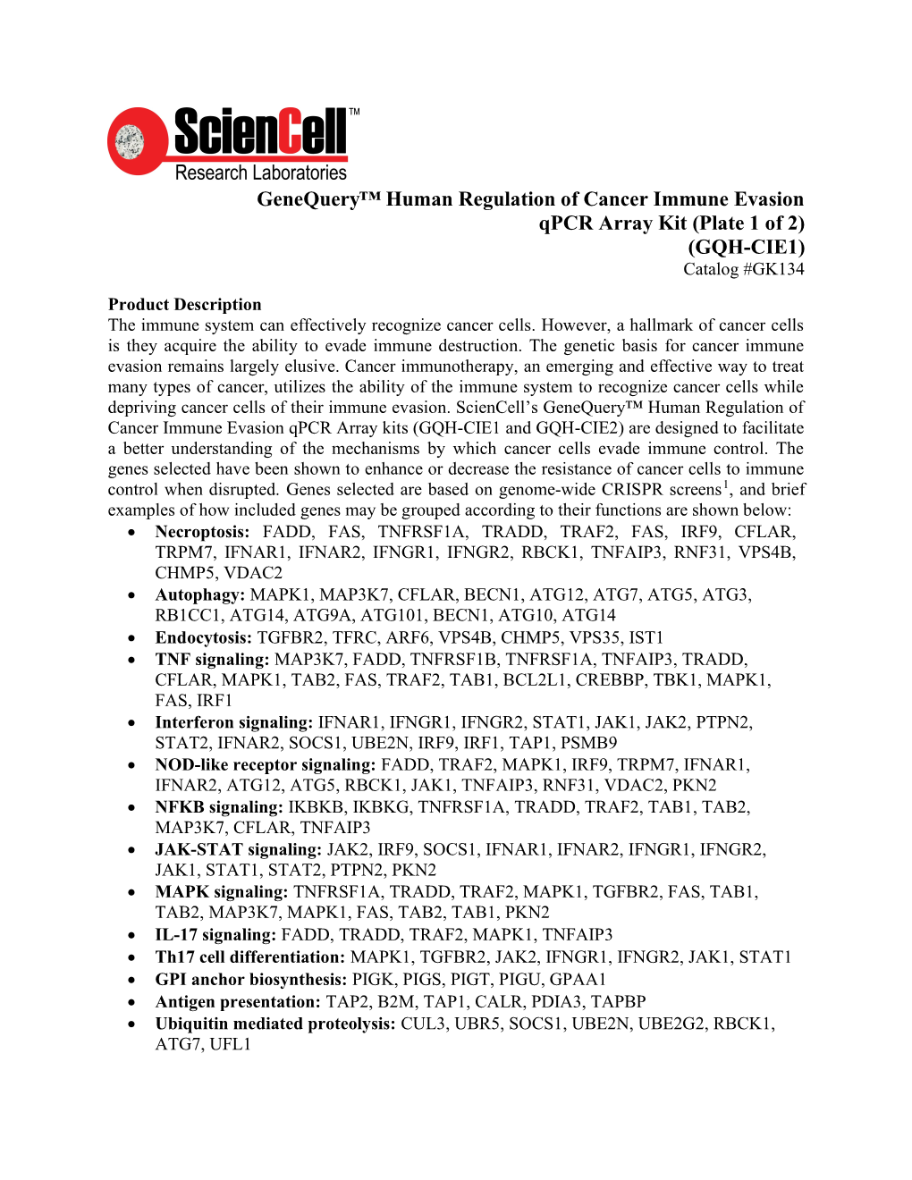 GQH-CIE1) Catalog #GK134 Product Description the Immune System Can Effectively Recognize Cancer Cells