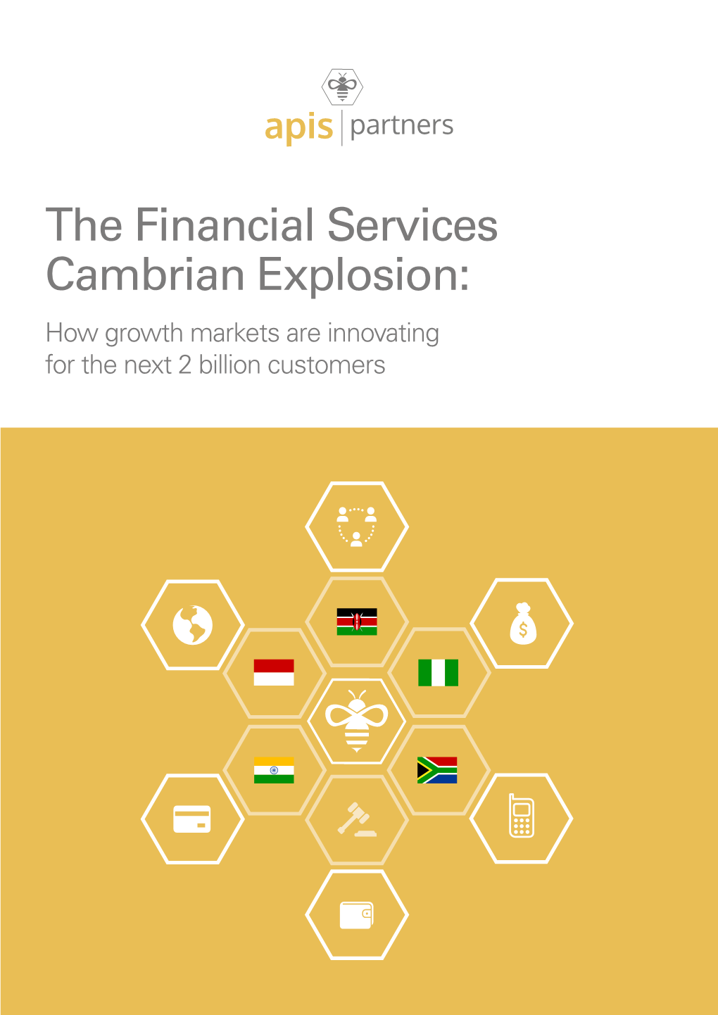 The Financial Services Cambrian Explosion: How Growth Markets Are Innovating for the Next 2 Billion Customers Factsheet