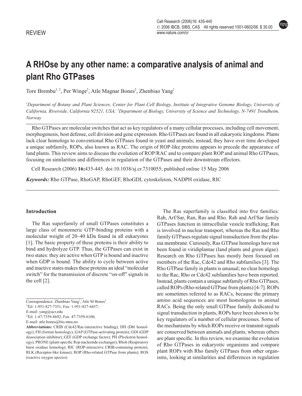 A Comparative Analysis of Animal and Plant Rho Gtpases
