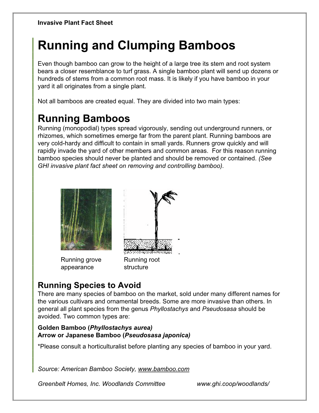 Running and Clumping Bamboos