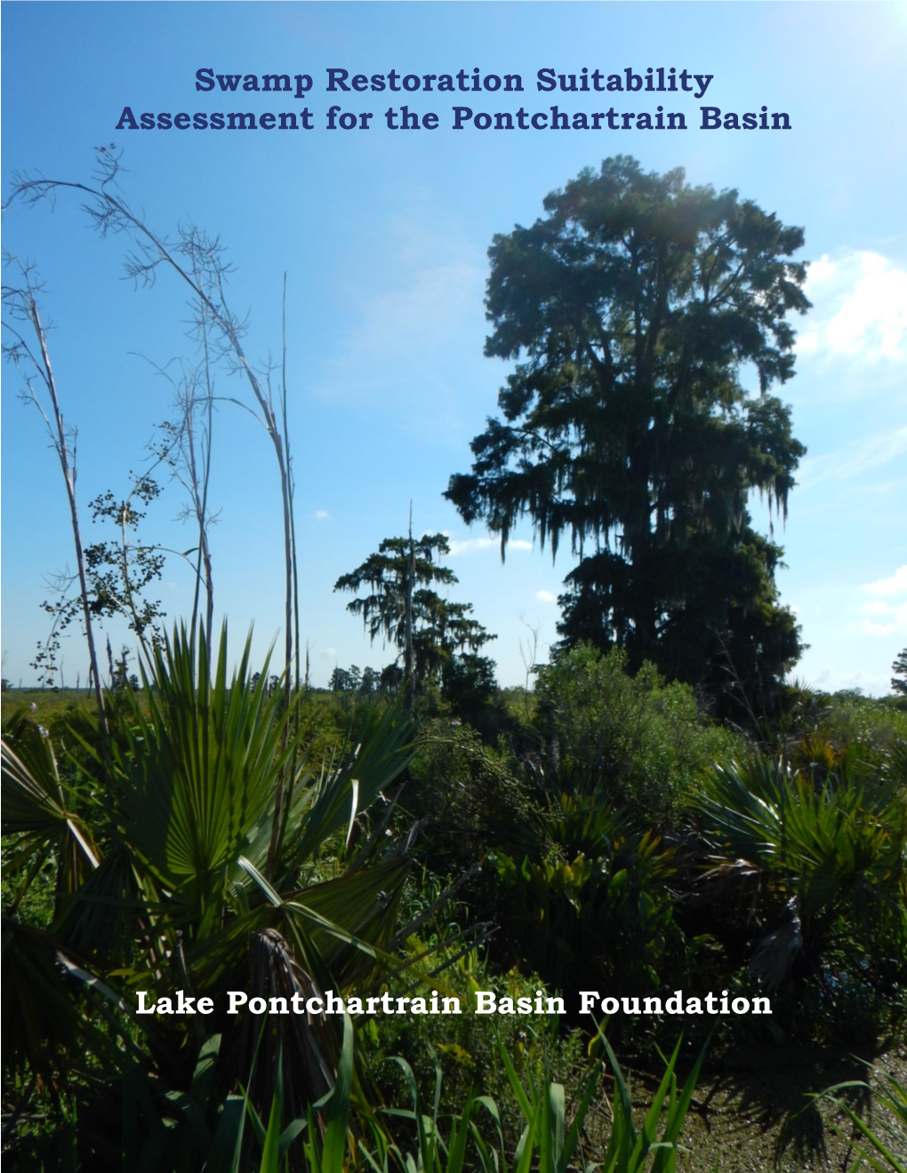 Swamp Restoration Suitability Assessment for the Pontchartrain Basin