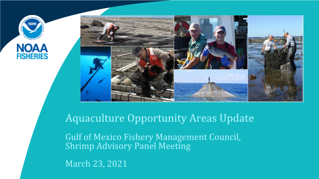 Aquaculture Opportunity Areas Update Gulf of Mexico Fishery Management Council, Shrimp Advisory Panel Meeting March 23, 2021 Topics