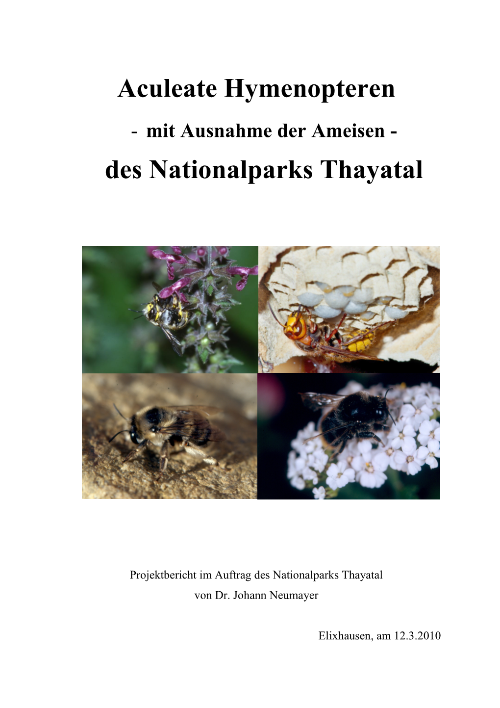 Aculeate Hymenopteren Des Nationalparks Thayatal