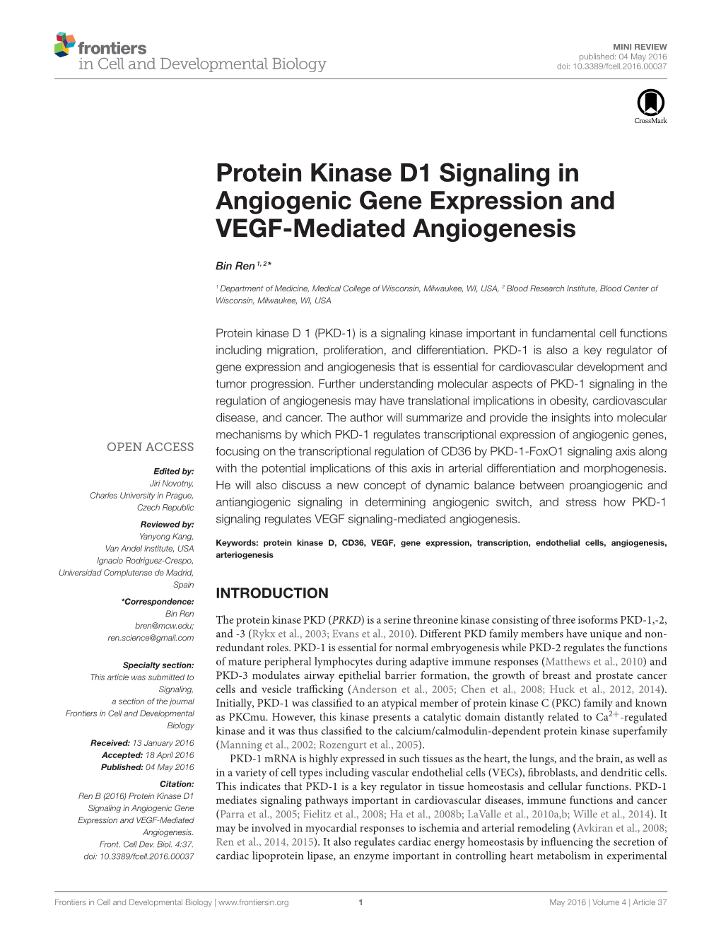 Protein Kinase D1 Signaling in Angiogenic Gene Expression and VEGF-Mediated Angiogenesis