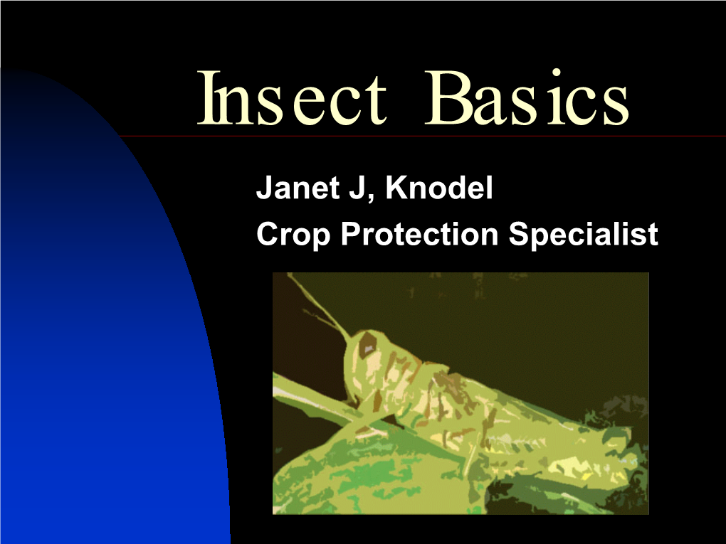 Insect Basics Janet J, Knodel Crop Protection Specialist Introduction