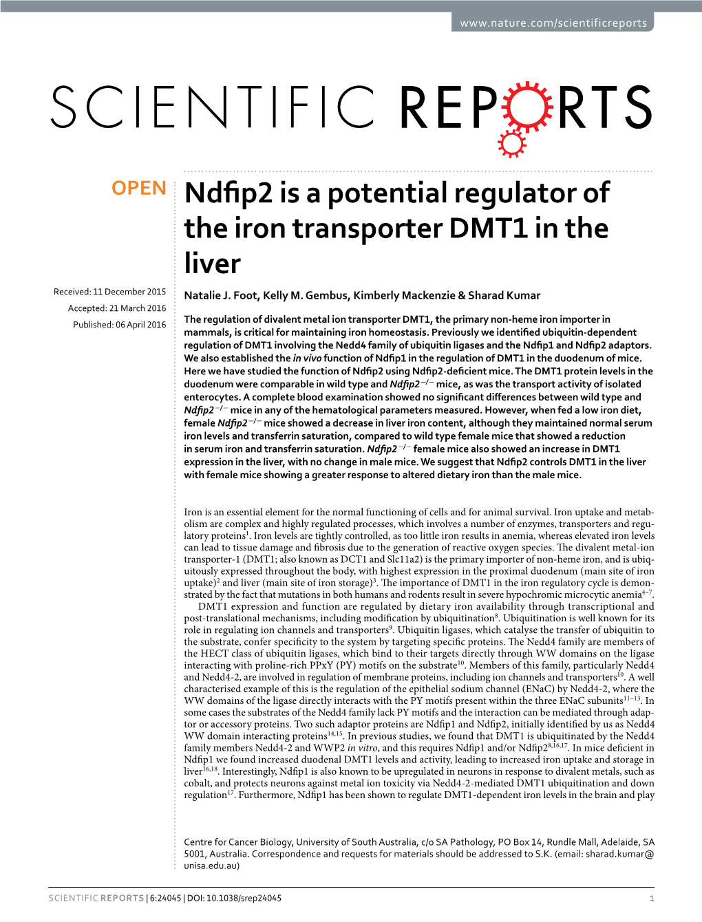 Ndfip2 Is a Potential Regulator of the Iron Transporter DMT1 in the Liver Received: 11 December 2015 Natalie J