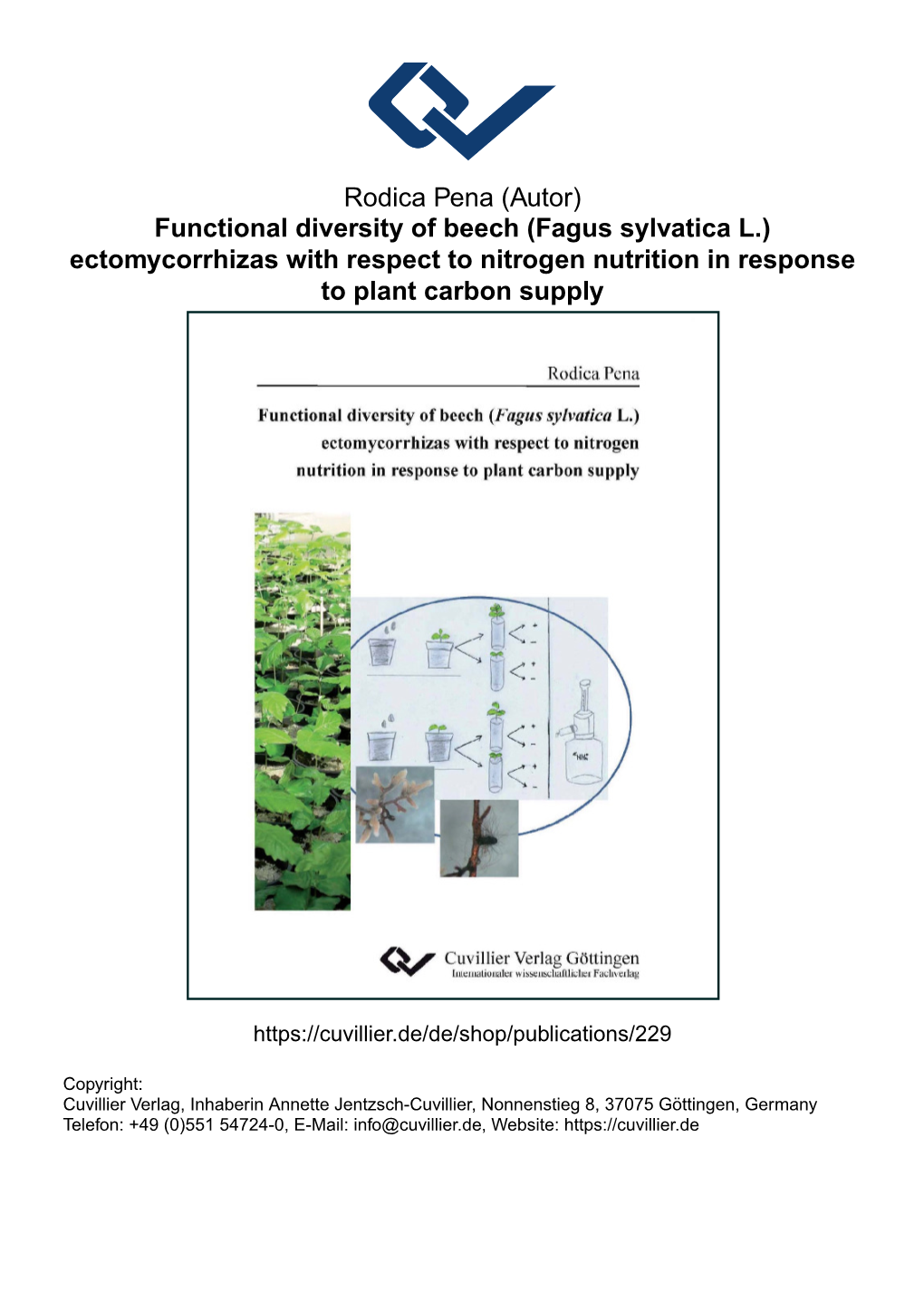 Functional Diversity of Beech (Fagus Sylvatica L.) Ectomycorrhizas with Respect to Nitrogen Nutrition in Response to Plant Carbon Supply