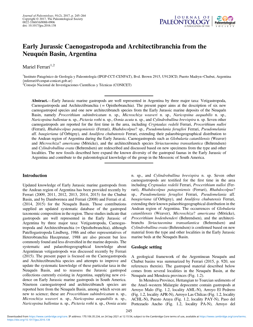 Early Jurassic Caenogastropoda and Architectibranchia from the Neuquén Basin, Argentina