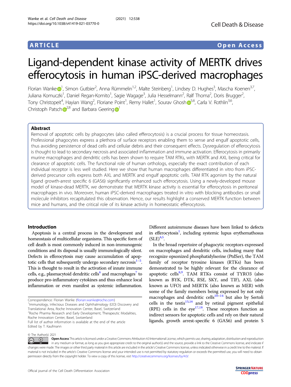 Ligand-Dependent Kinase Activity of MERTK Drives Efferocytosis in Human Ipsc-Derived Macrophages