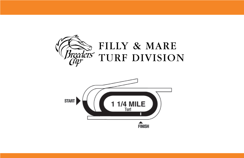 Breeders' Cup Filly & Mare Turf