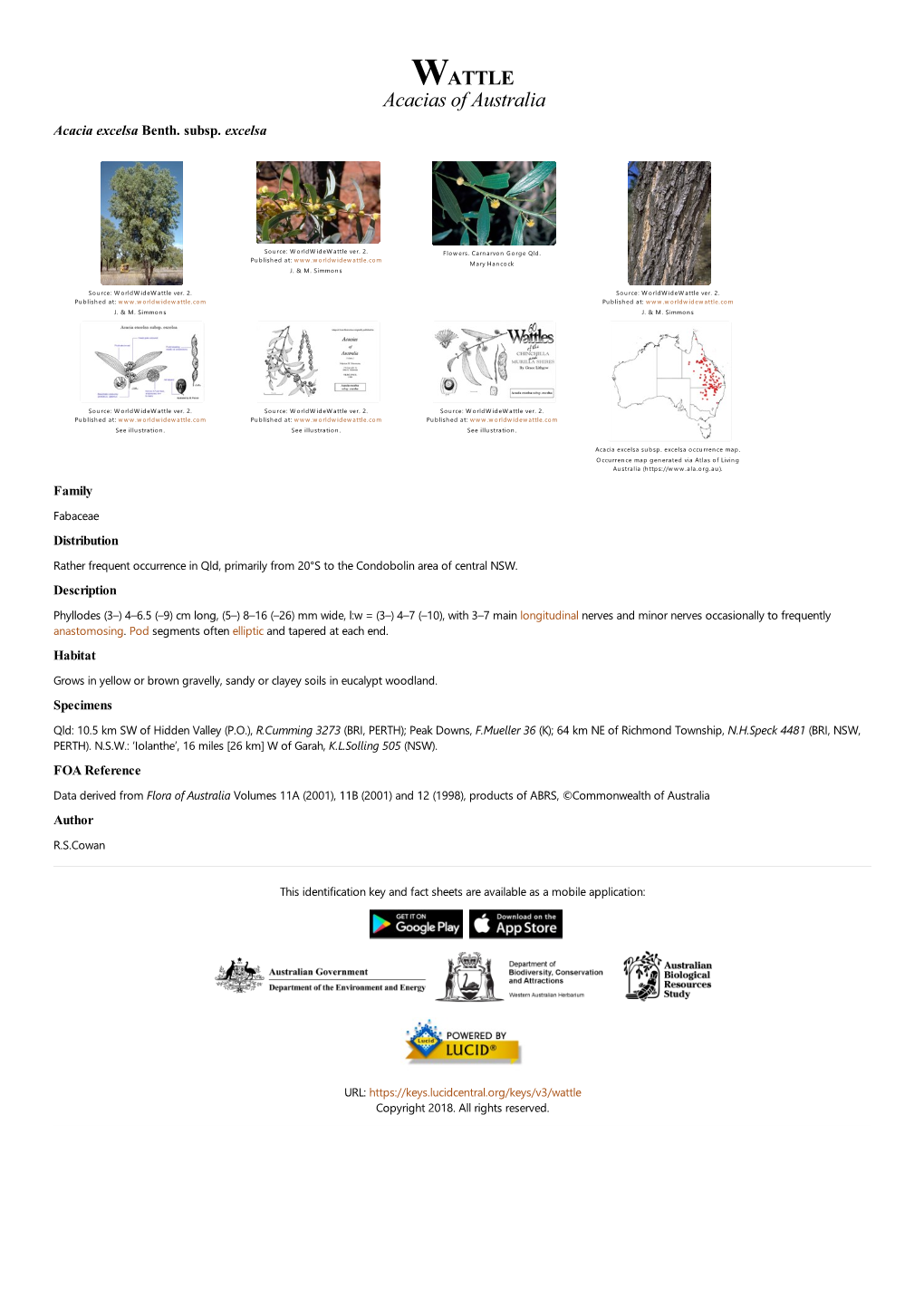 Acacia Excelsa Subsp. Excelsa Occurrence Map