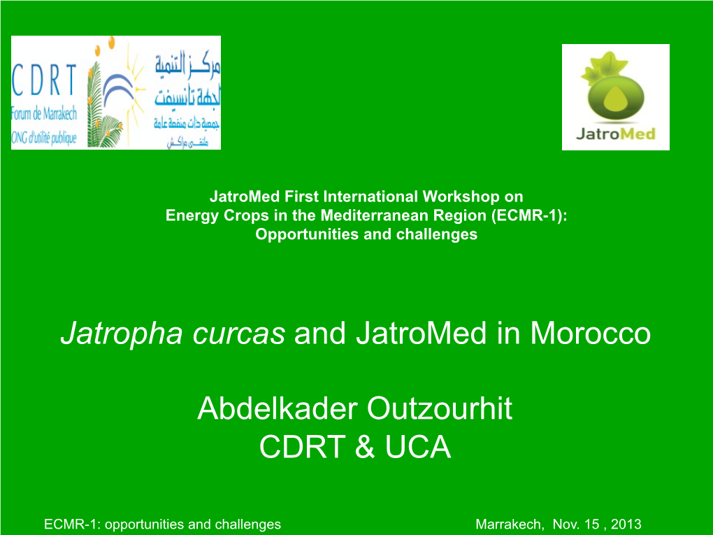 Jatropha Curcas and Jatromed in Morocco Abdelkader Outzourhit