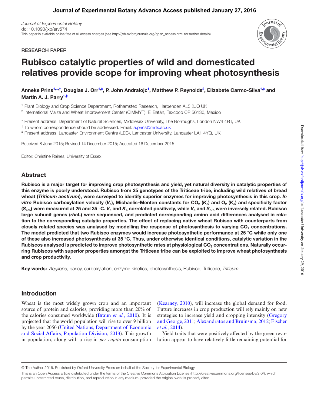 Rubisco Catalytic Properties of Wild and Domesticated Relatives Provide Scope for Improving Wheat Photosynthesis