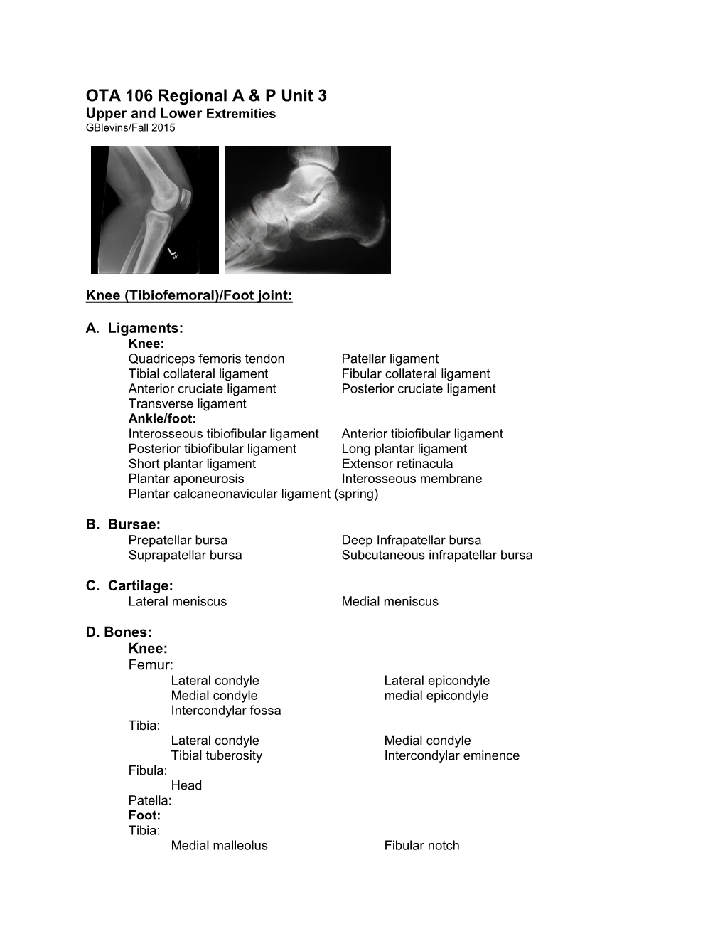 OTA 106 Knee/Ankle Study Guide