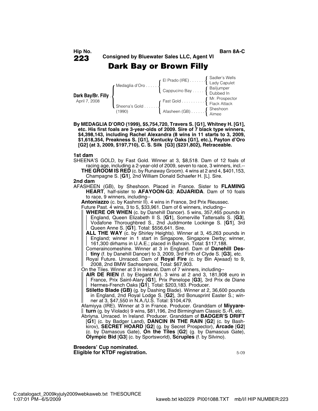 223 Consigned by Bluewater Sales LLC, Agent VI Dark Bay Or Brown Filly