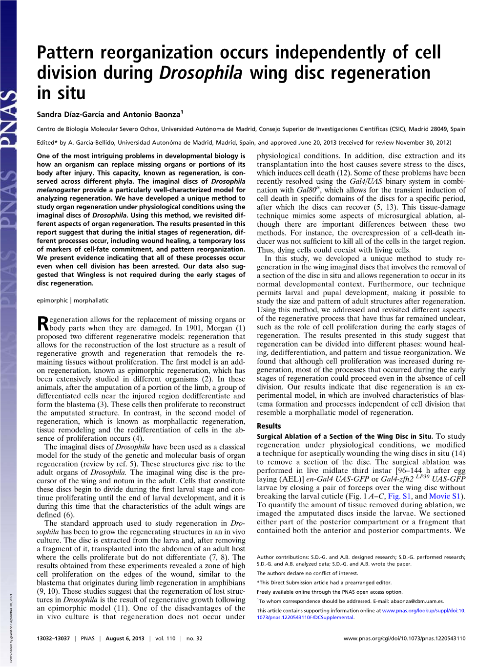 Pattern Reorganization Occurs Independently of Cell Division During Drosophila Wing Disc Regeneration in Situ